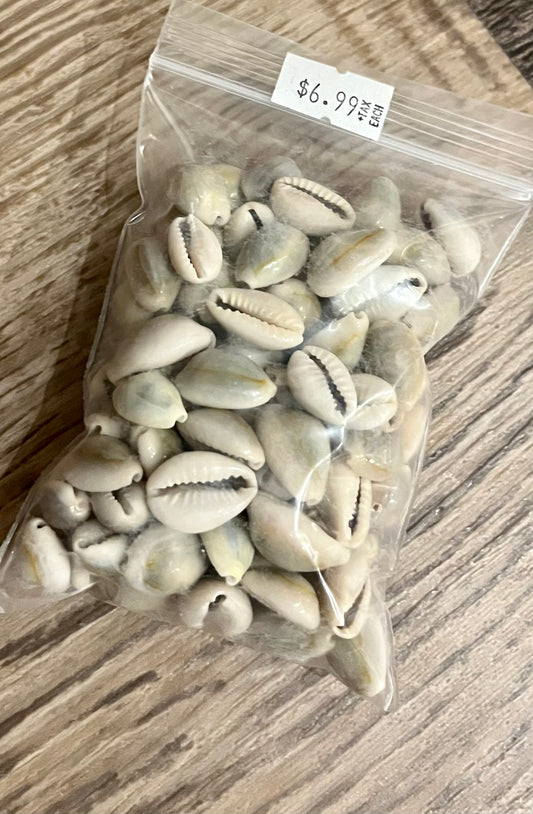 Caracoles cerrados/ Closed snails
