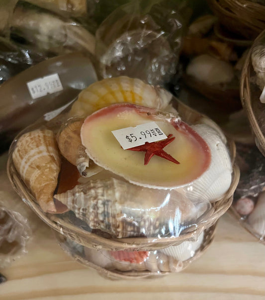 Cesta de caracoles pequenas/ Small basket of shells