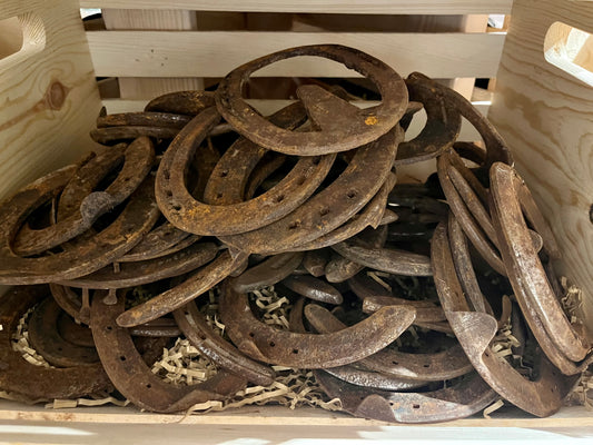 Herradura de caballo/Horseshoe