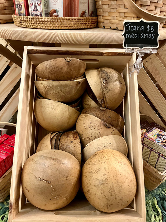Medium Jicara/Jicara Mediana