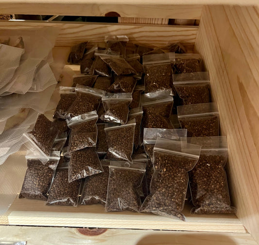 Pimienta guinea grande/ Ginea pepper Large