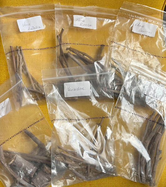 Palo pequeno/ Small stick